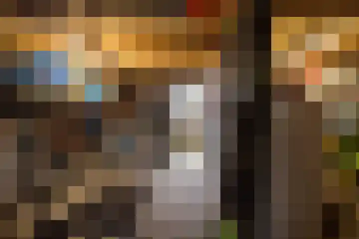 Jaagband 64 Wognum thumbnail 30
