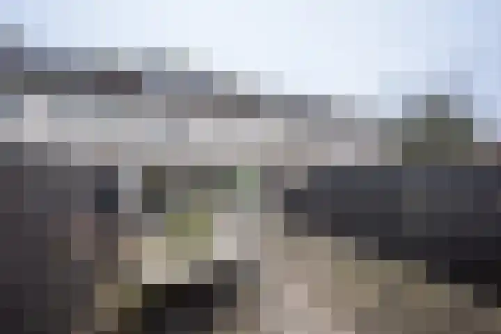 Jaagband 64 Wognum thumbnail 32