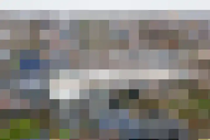 Jaagband 64 Wognum thumbnail 33