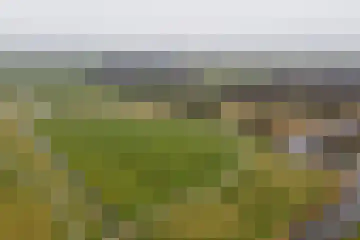 Jaagband 64 Wognum thumbnail 35