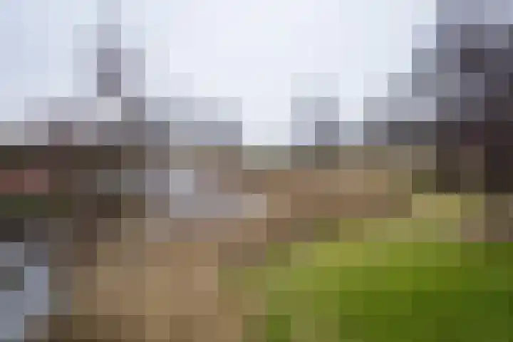 Jaagband 64 Wognum thumbnail 36