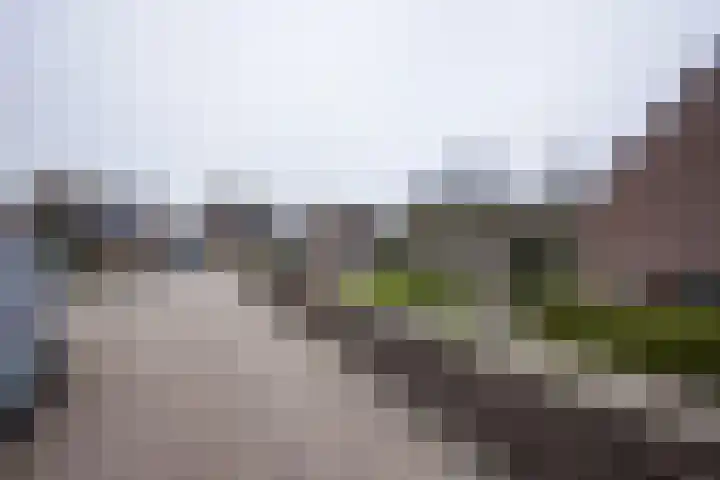Jaagband 64 Wognum thumbnail 7