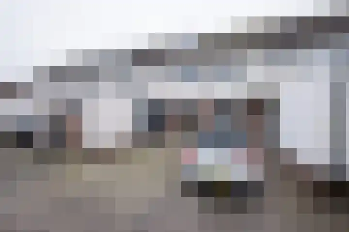 Jaagband 64 Wognum thumbnail 8