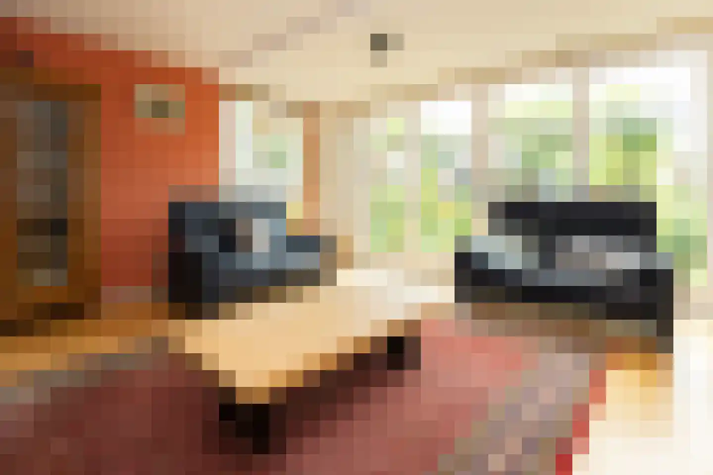 Jaagband 70 Wognum thumbnail 10