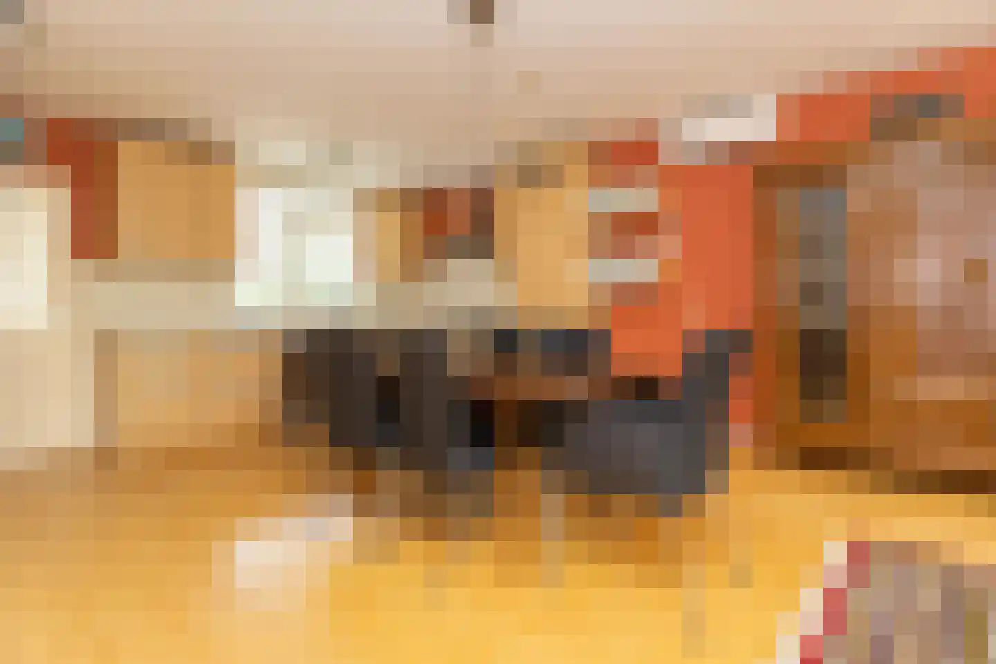 Jaagband 70 Wognum thumbnail 11