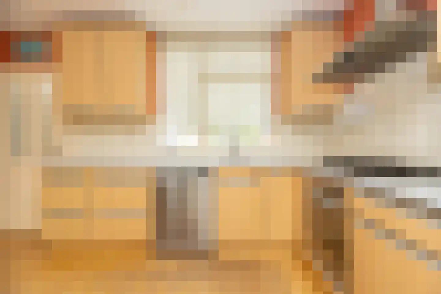 Jaagband 70 Wognum thumbnail 12