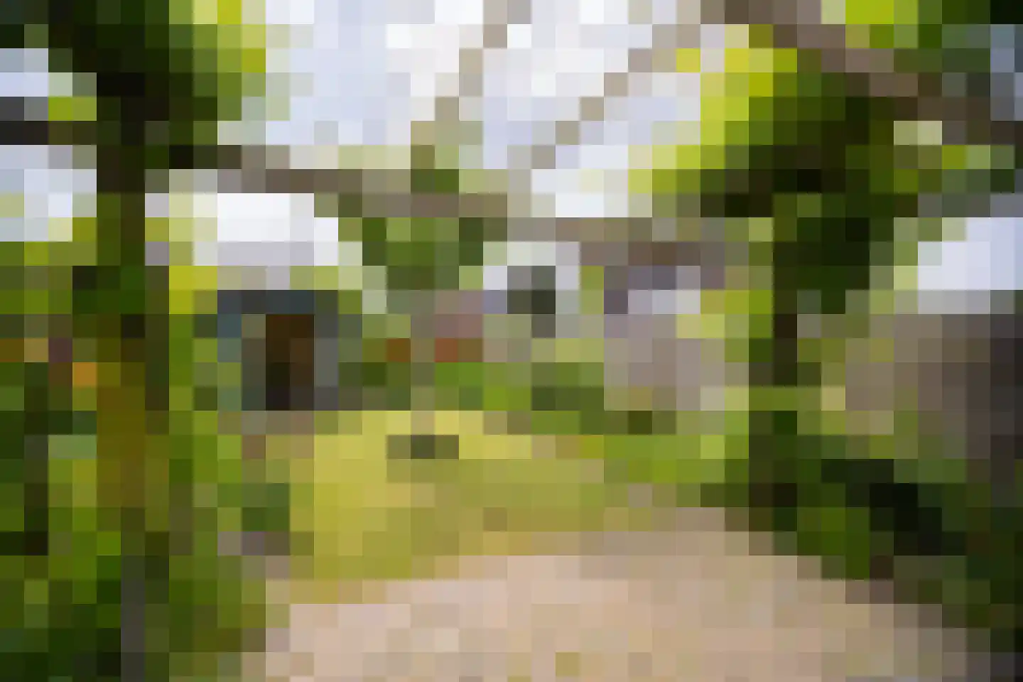 Jaagband 70 Wognum thumbnail 27
