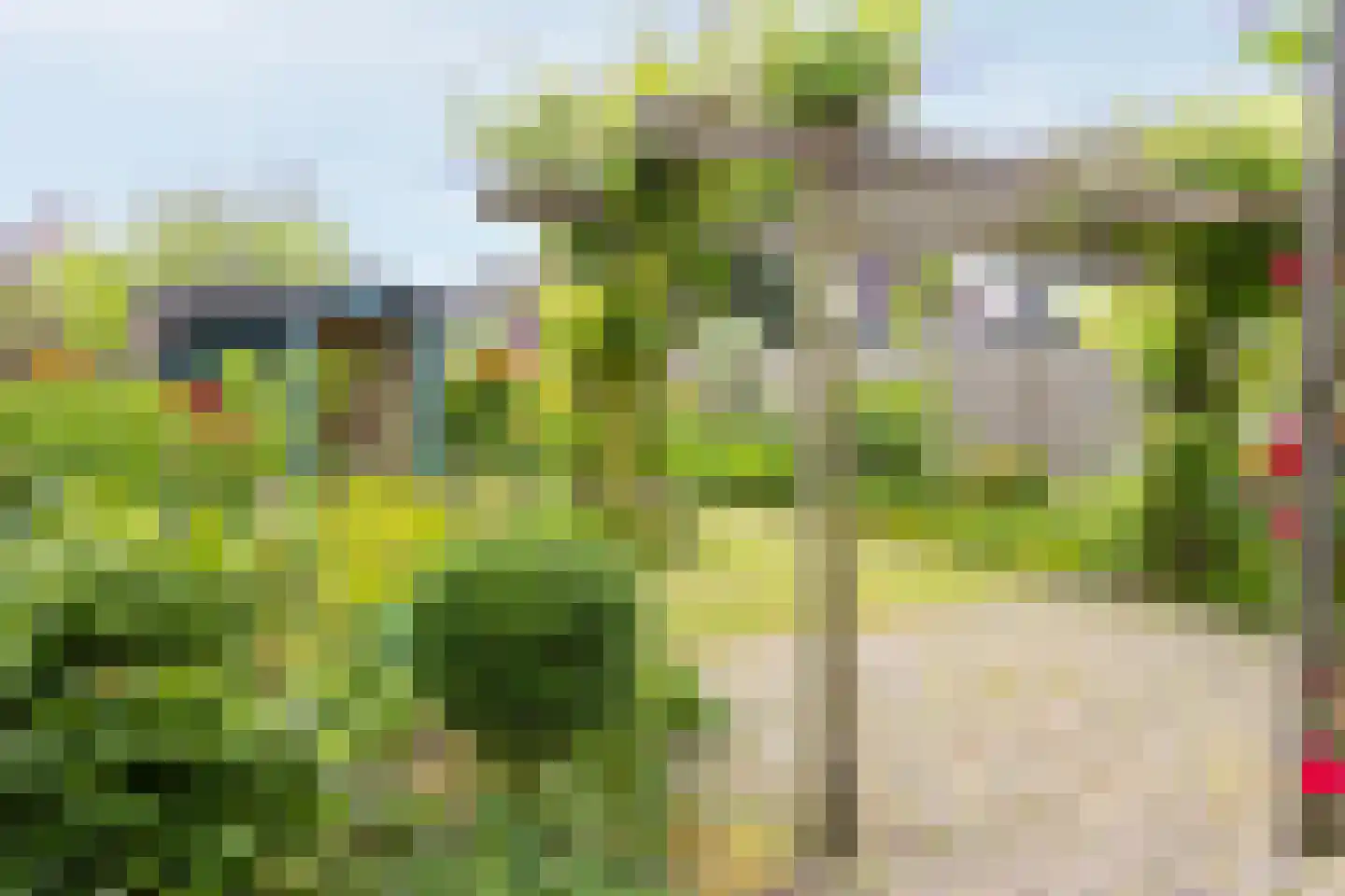 Jaagband 70 Wognum thumbnail 28