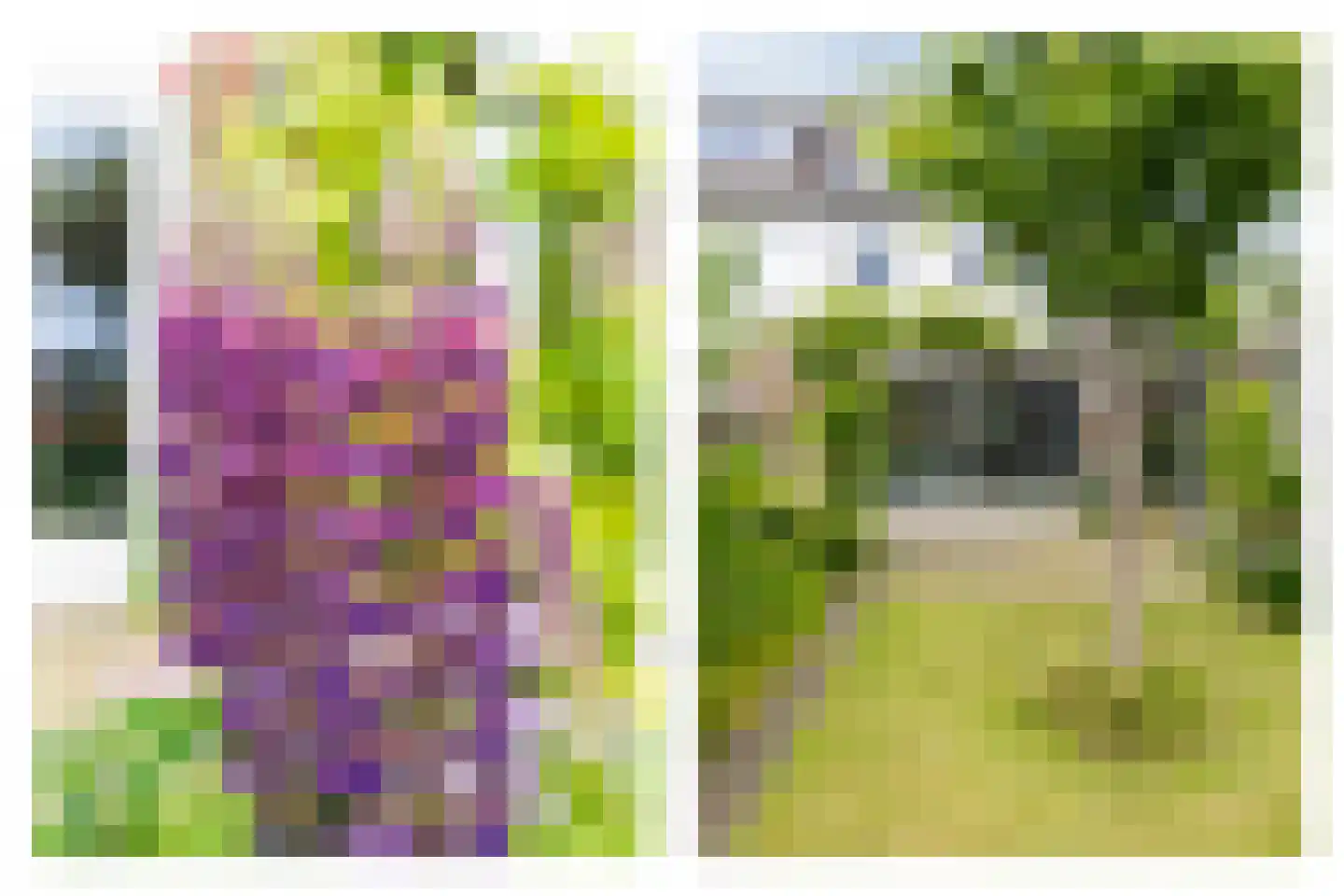 Jaagband 70 Wognum thumbnail 31