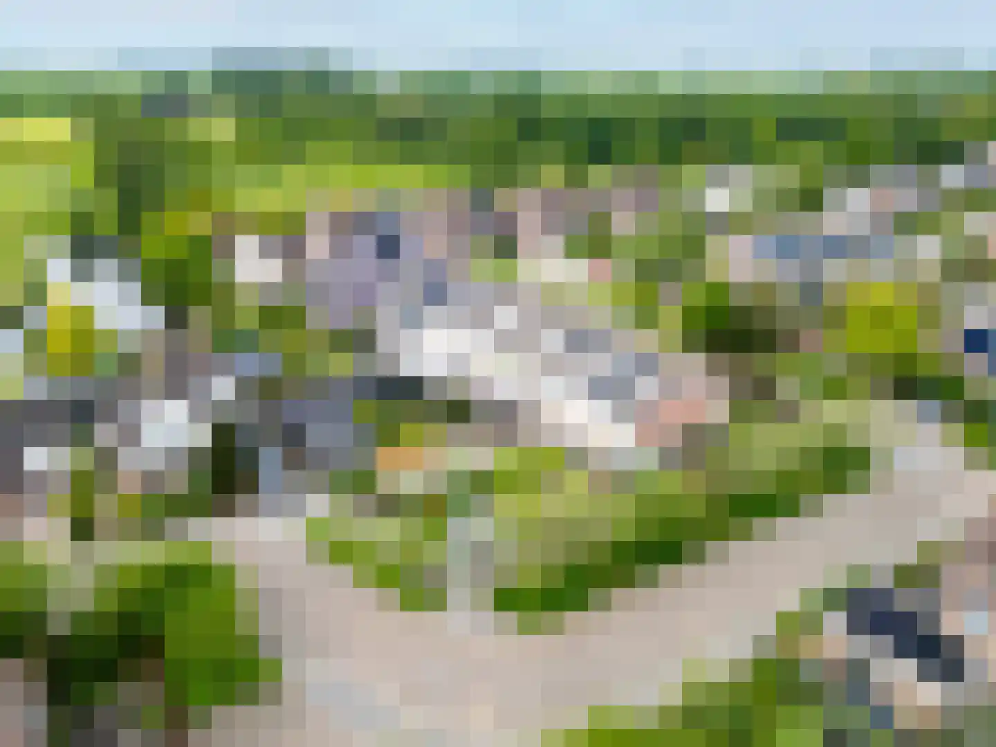 Jaagband 70 Wognum thumbnail 33