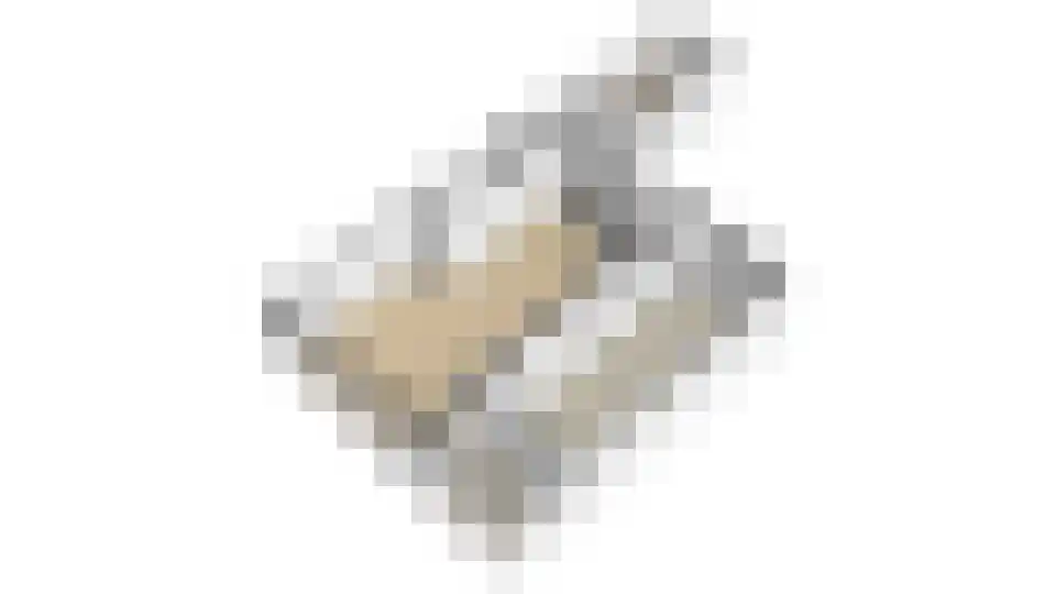 Jaagband 70 Wognum thumbnail 36