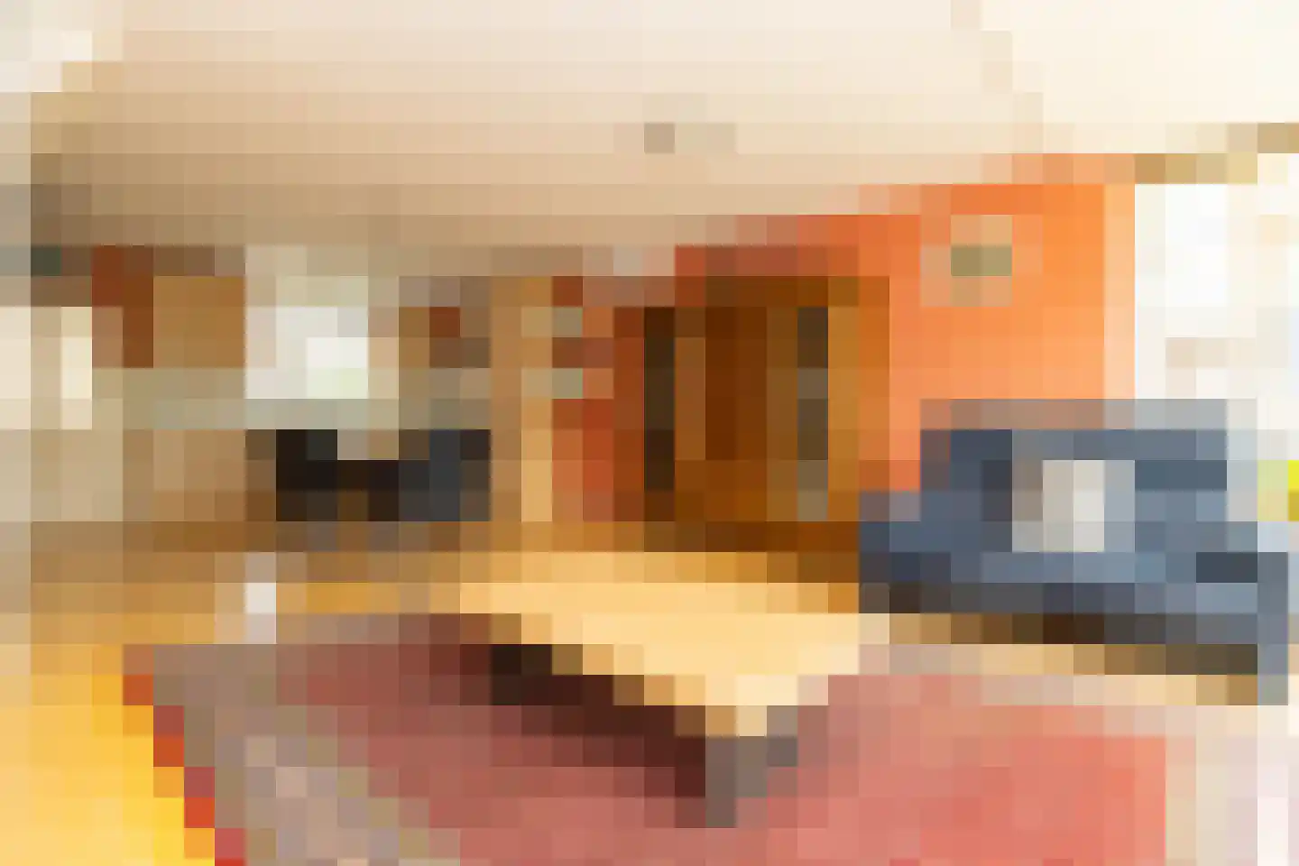 Jaagband 70 Wognum thumbnail 4