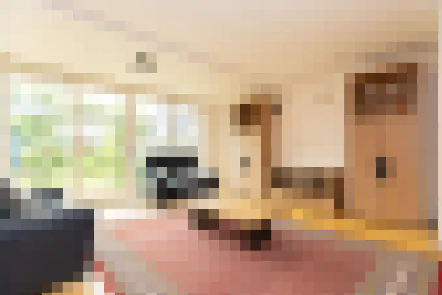 Jaagband 70 Wognum thumbnail 9