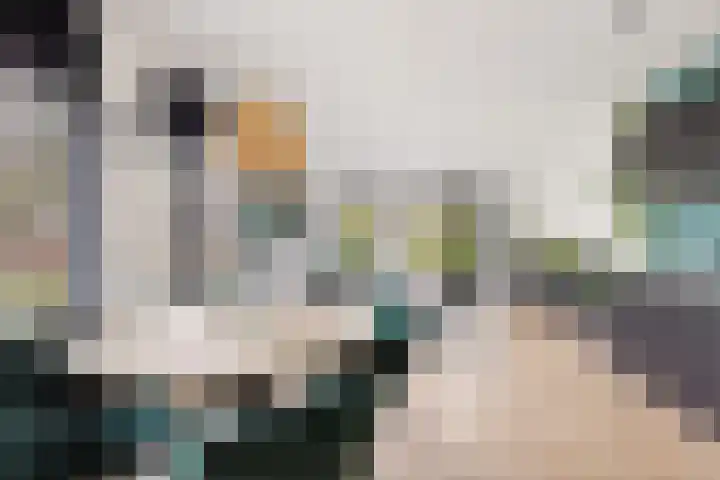 Jaagmeent 19 Almere thumbnail 11