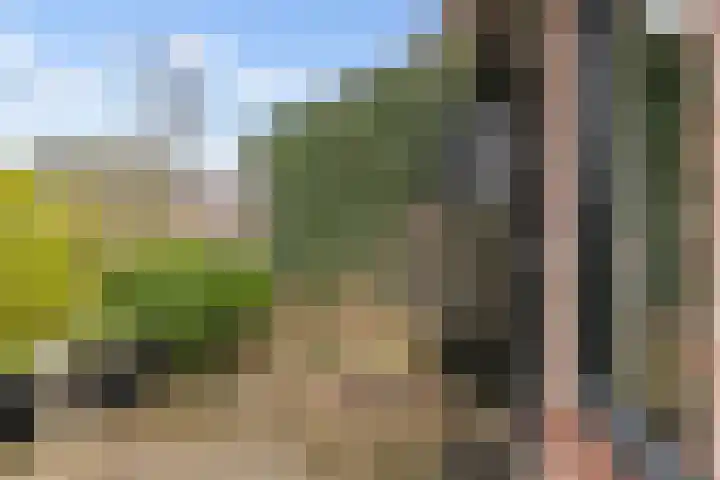 Jaagmeent 19 Almere thumbnail 41