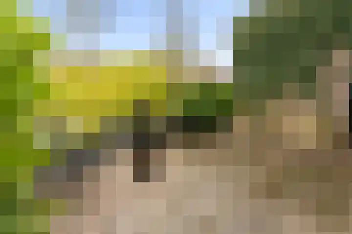 Jaagmeent 19 Almere thumbnail 42