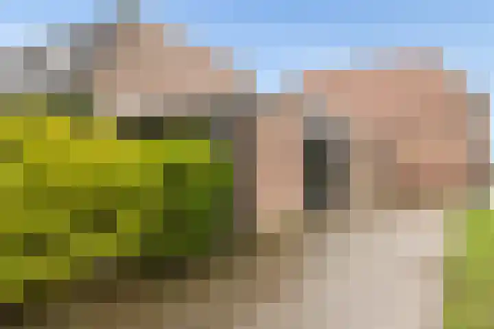 Jaagmeent 19 Almere thumbnail 43