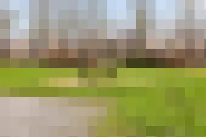Jaagmeent 19 Almere thumbnail 44