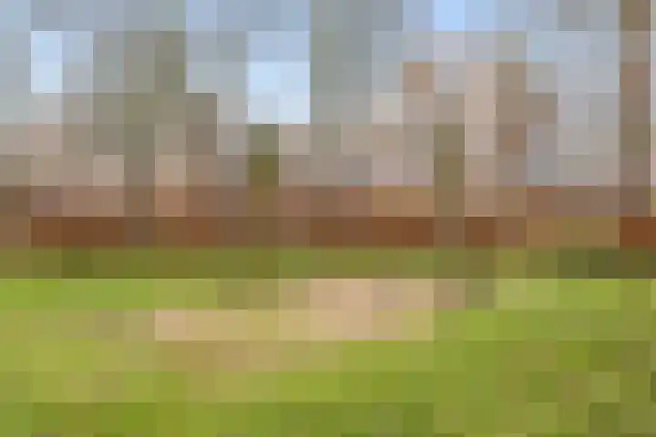 Jaagmeent 19 Almere thumbnail 45