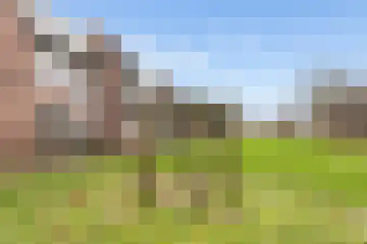 Jaagmeent 19 Almere thumbnail 46
