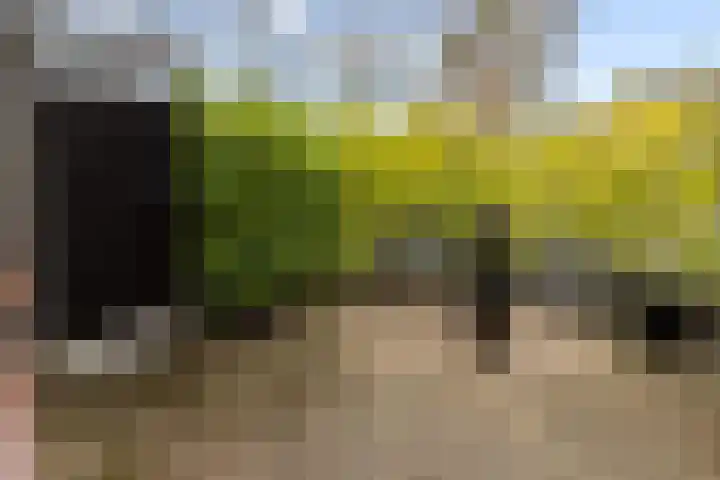 Jaagmeent 19 Almere thumbnail 5