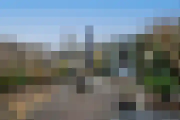 Jaagmeent 276 Almere thumbnail 46