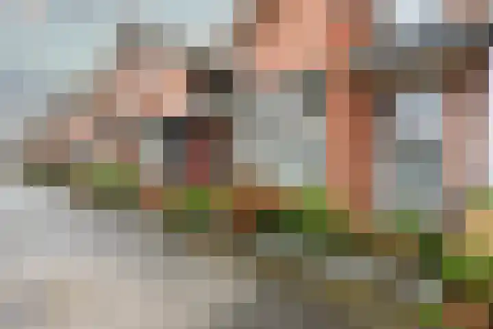 Jaagmeent 276 Almere thumbnail 5