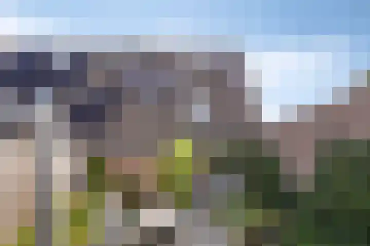 Jaagmeent 34 Almere thumbnail 30