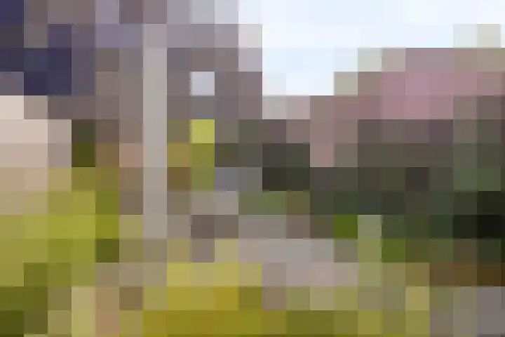Jaagmeent 34 Almere thumbnail 33