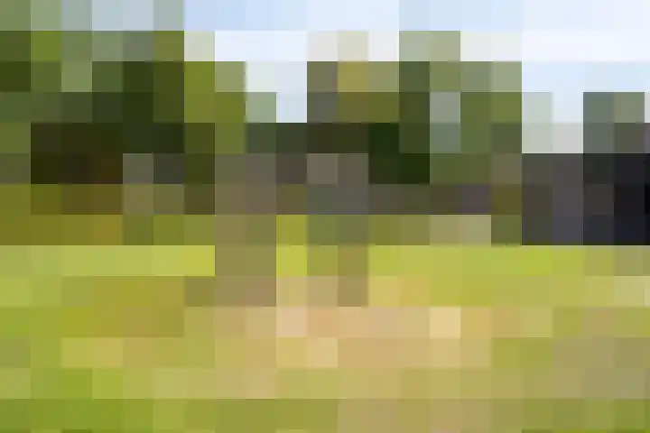 Jaagmeent 34 Almere thumbnail 34