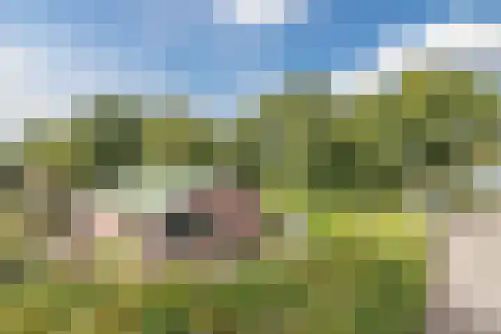 Jaagmeent 97 Almere thumbnail 20