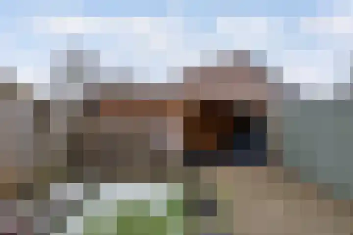 Jaagmeent 97 Almere thumbnail 29