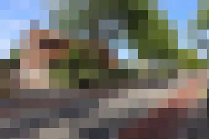 Jaagmeent 97 Almere thumbnail 35