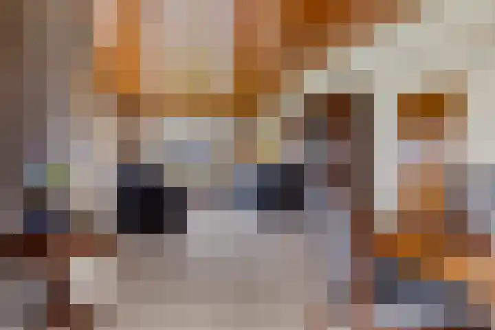 Jaagpad 1 Delfzijl thumbnail 16