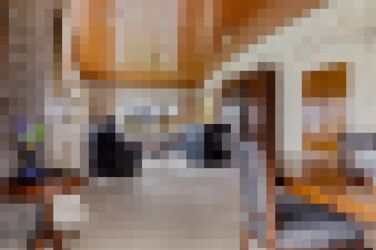 Jaagpad 1 Delfzijl thumbnail 16