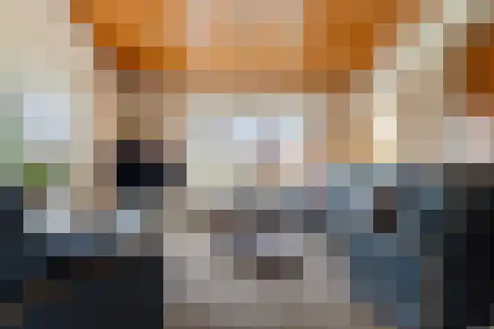 Jaagpad 1 Delfzijl thumbnail 17