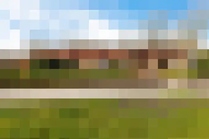Jaagpad 1 Delfzijl thumbnail 7