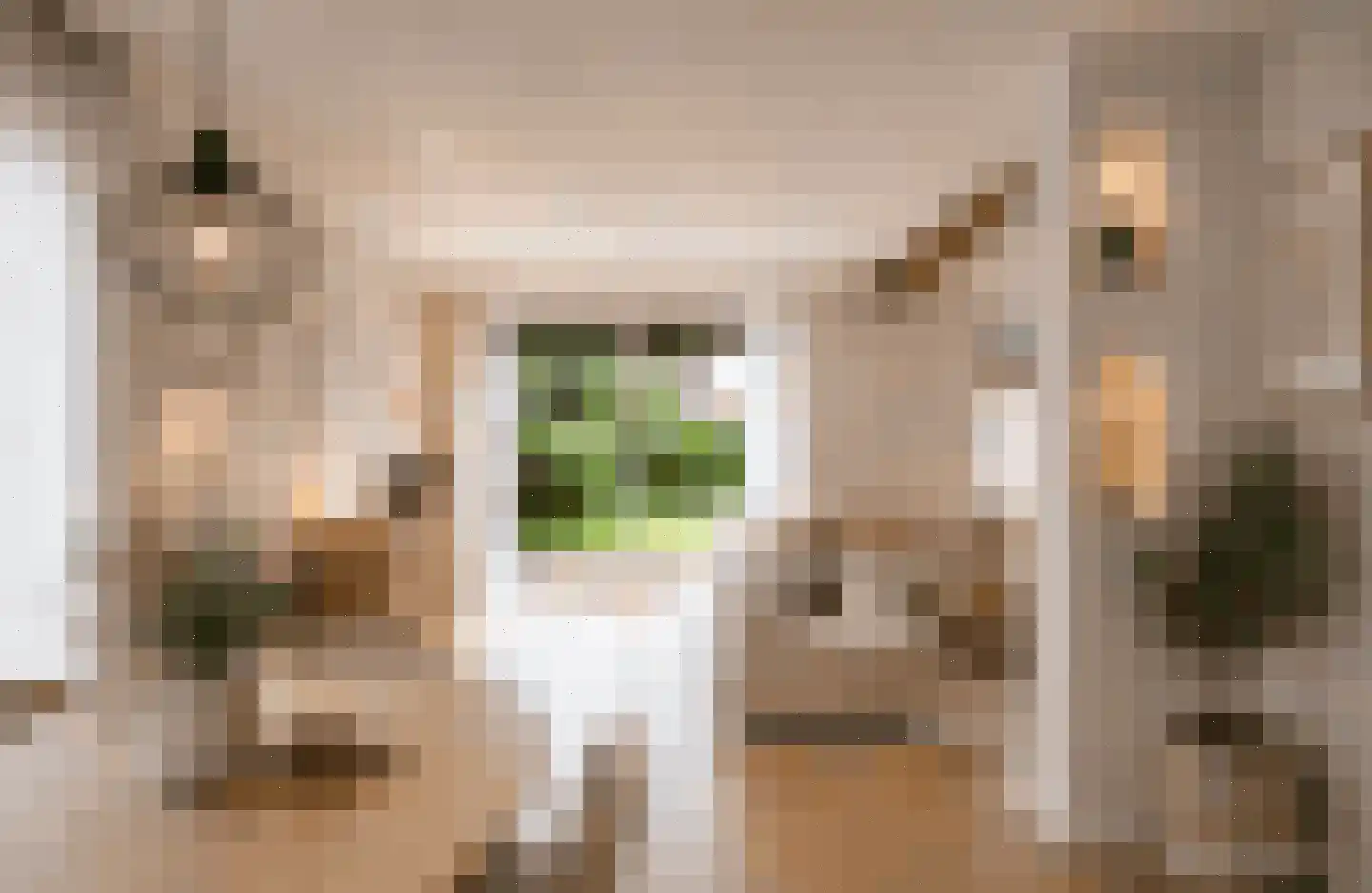 Jaagpad 1 Oudenbosch thumbnail 17