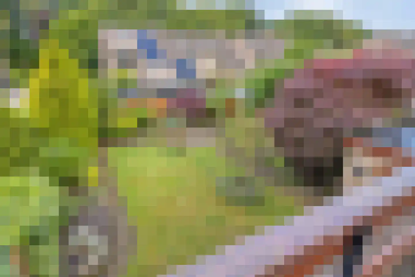 Jaagpad 1 Oudenbosch thumbnail 17