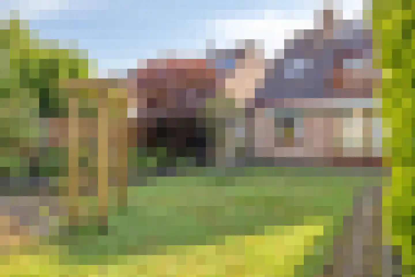 Jaagpad 1 Oudenbosch thumbnail 23