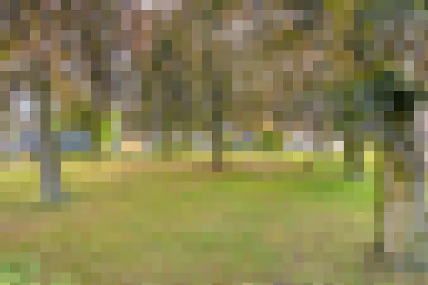 Jaagpad 1 Oudenbosch thumbnail 26