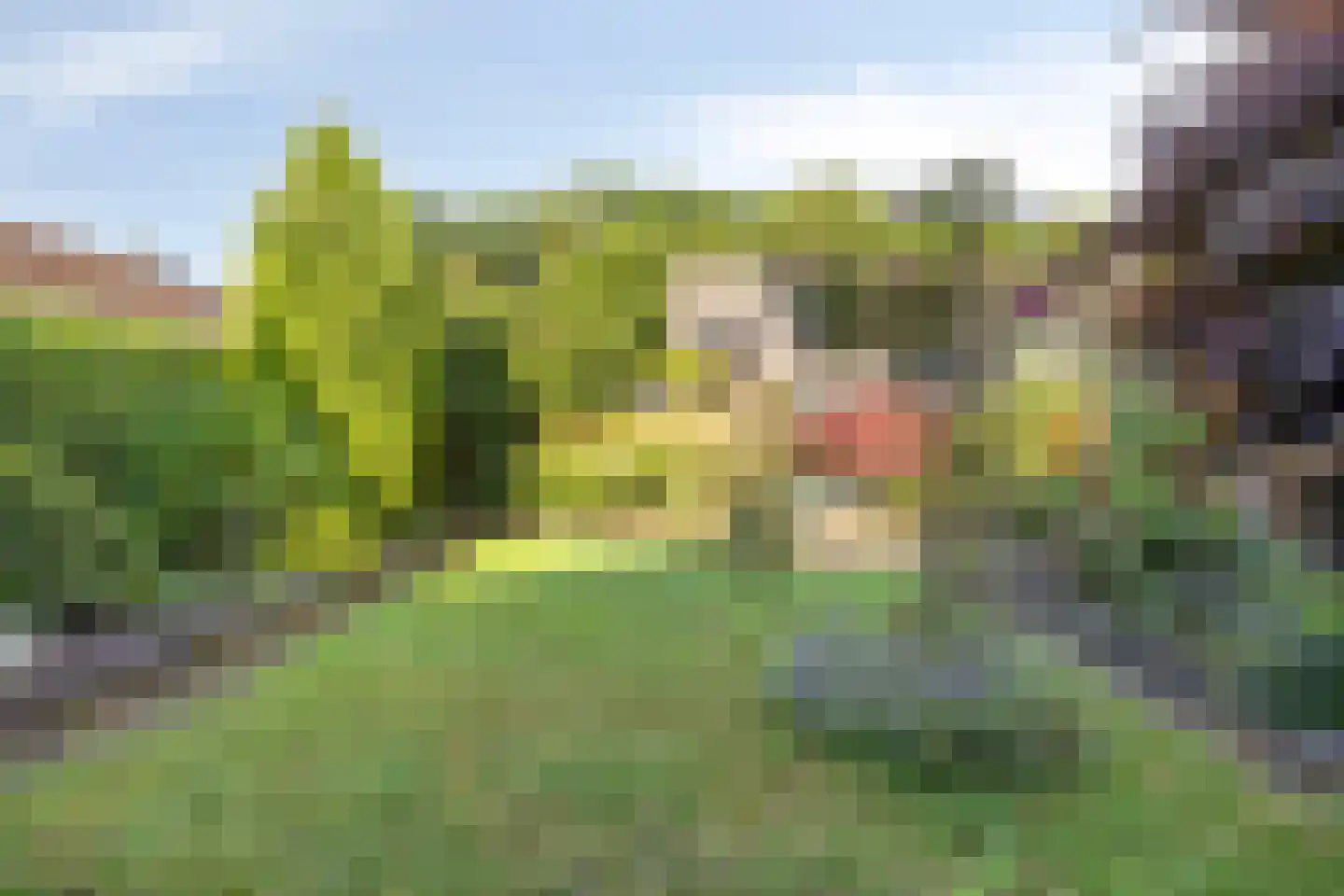 Jaagpad 1 Oudenbosch thumbnail 7