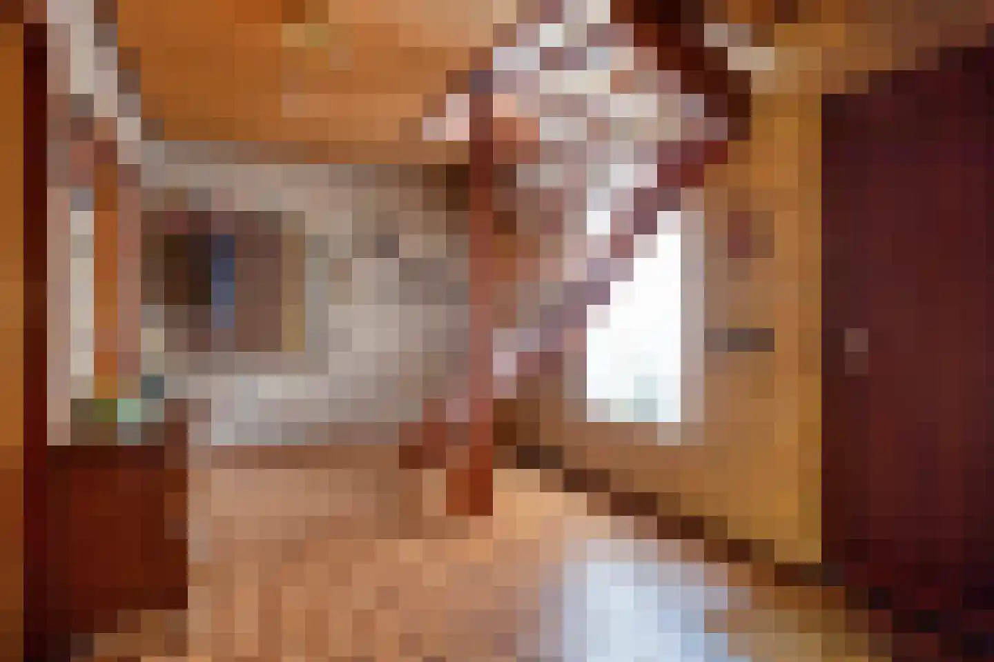 Jaagpad 1 Oudenbosch thumbnail 9