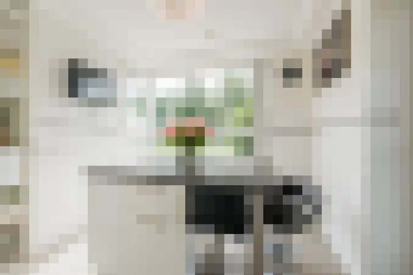 Jaagpad 10 Diemen thumbnail 12