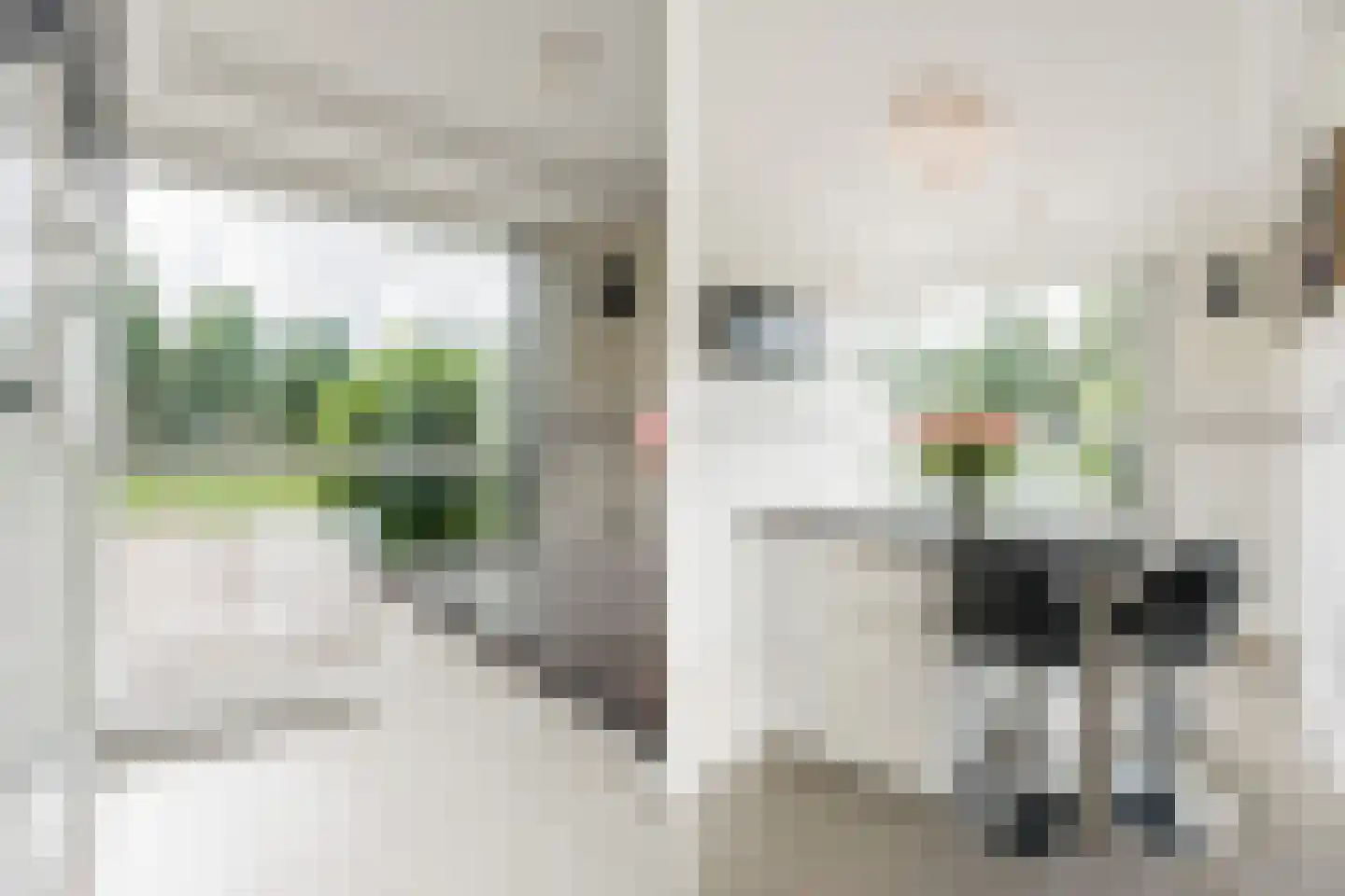 Jaagpad 10 Diemen thumbnail 16