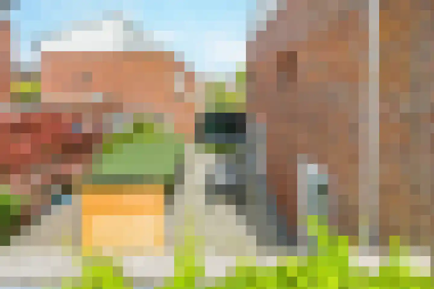 Jaagpad 10 Diemen thumbnail 26