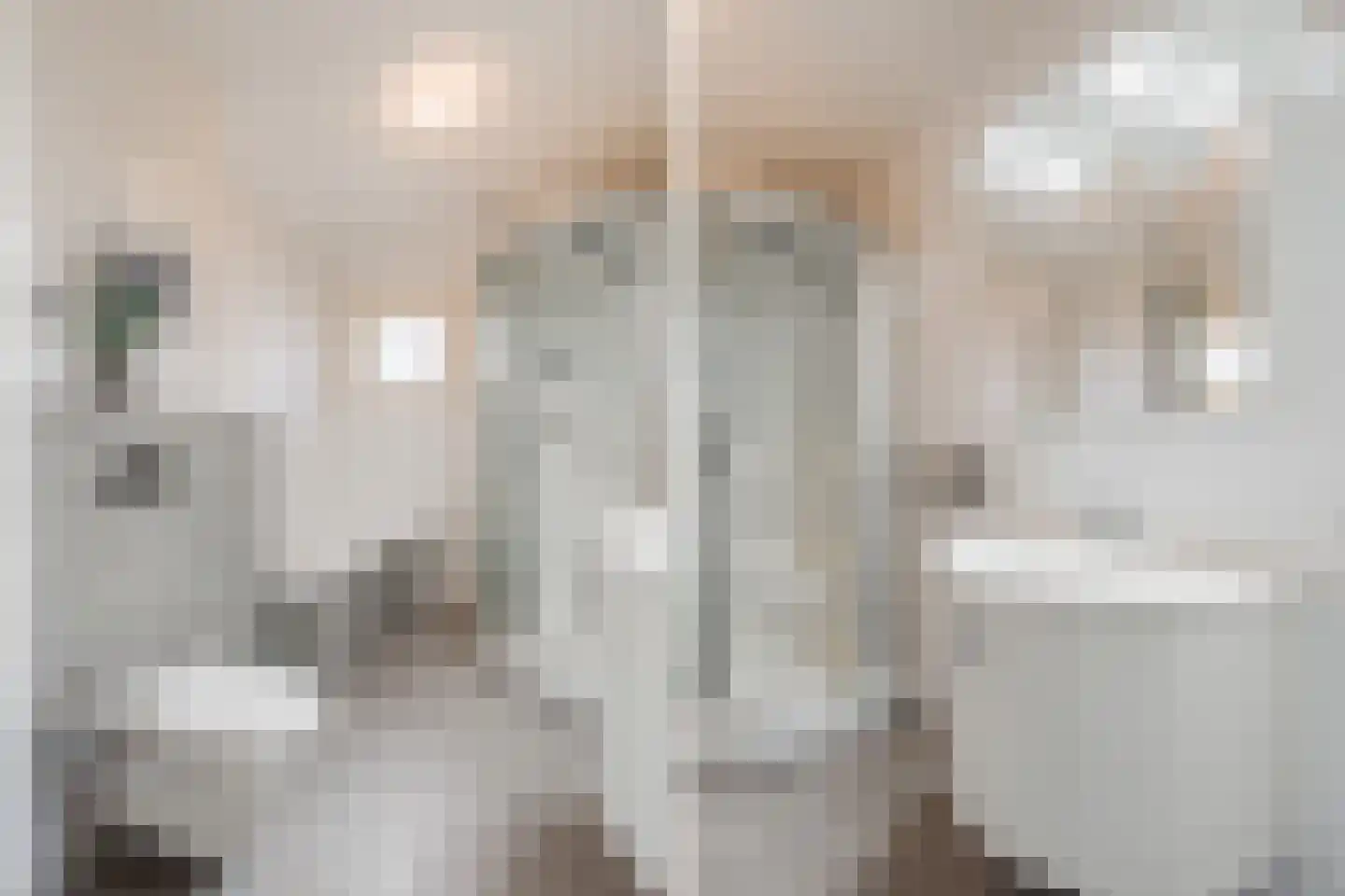 Jaagpad 10 Diemen thumbnail 35