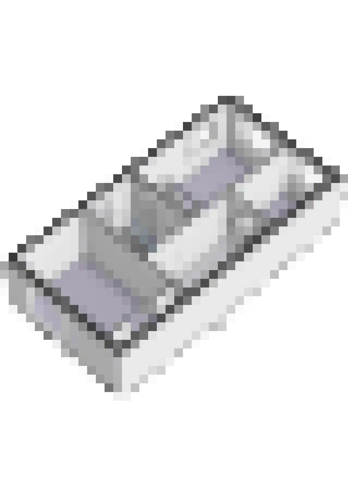 Jaagpad 10 Diemen thumbnail 76