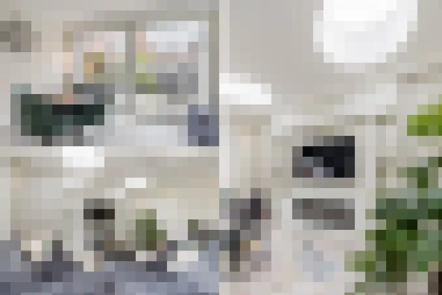 Jaagpad 10 Diemen thumbnail 9