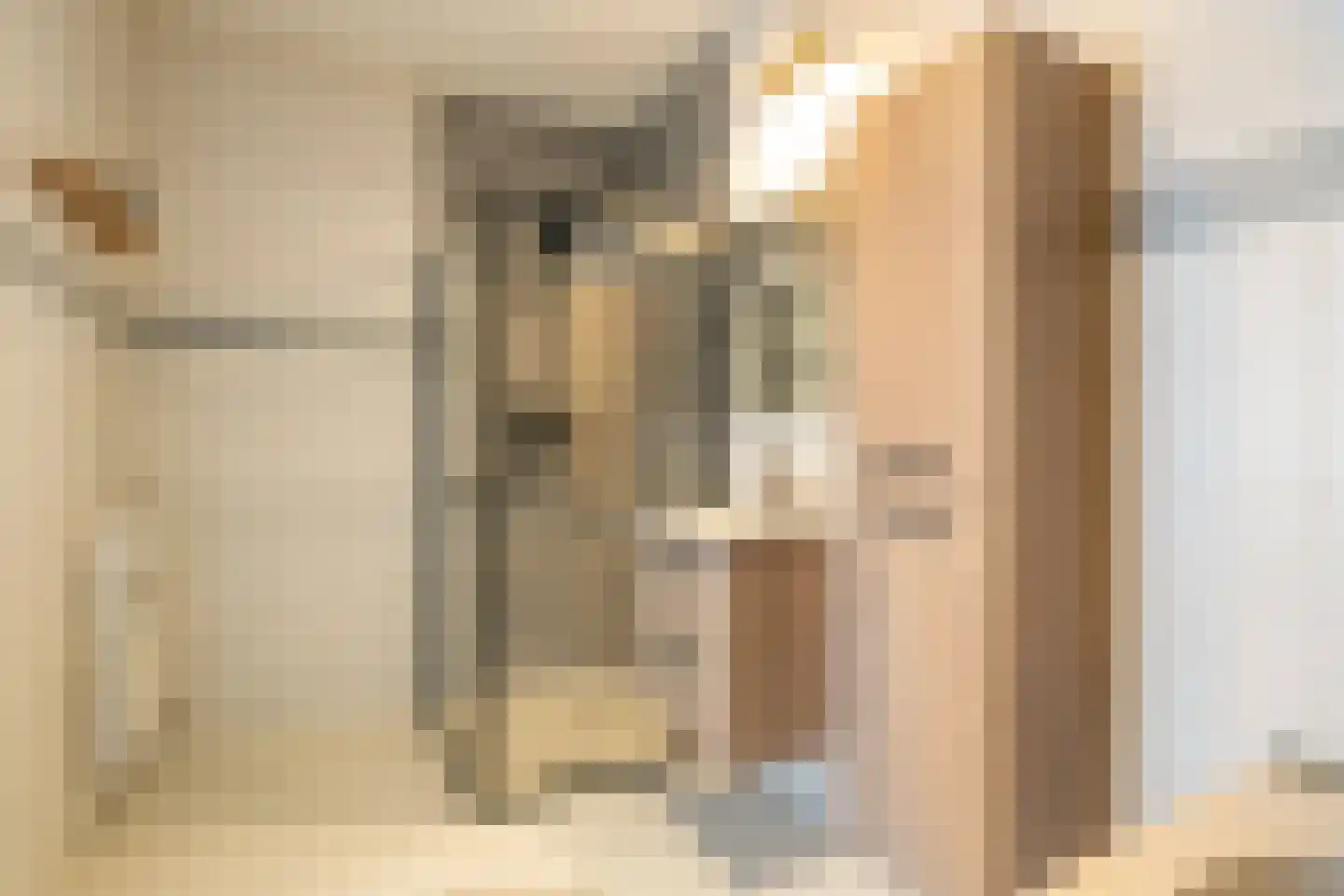 Jaagpad 103 Alkmaar thumbnail 21